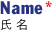 氏名（＊）